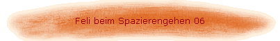 Feli beim Spazierengehen 06