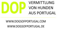 Logo DE weiß klein