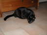 Balou 03 2004 01