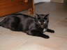 Balou 03 2004 03