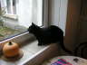 Balou 2004 01