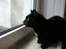 Balou 2004 02