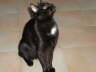 Balou Fliesen 1