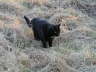 Balou Natur 03 2003 05