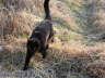 Balou Natur 03 2003 07