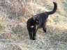 Balou Natur 03 2003 08