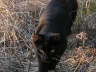 Balou Natur 03 2003 16