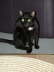 Balou Sessel 4
