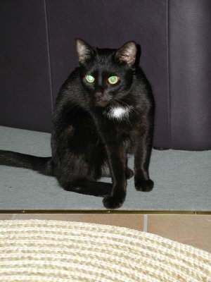 Balou Sessel 4