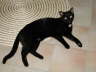 Balou Teppich 1