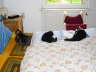 Balou + Friends Bett