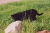 Balou garten 03