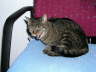 Candy 052005 01
