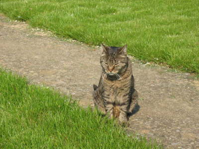 Candy 06-2006 01