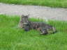 Candy 06-2006 07