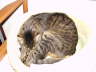Candy 072005