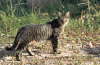 Candy_0901_standing