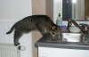 Candy 2004 01