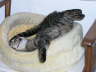 Candy Juni 2005 01