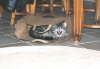 Candy_Papiertuete2