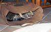 Candy_Papiert�te1