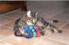 Candy_Schuh1