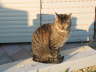 Candy ist drau�en 01
