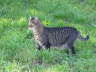 Candy ist drau�en 02