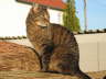 Candy ist drau�en 04