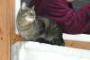 Candy ist drau�en 06