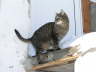 Candy ist drau�en 07