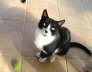 Carlos Marbella 01