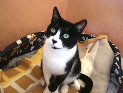 Carlos Marbella 03