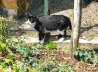 Carlos im Garten 01