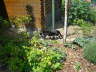 Carlos im Garten 02