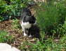 Carlos im Garten 03