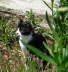 Carlos im Garten 07