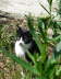 Carlos im Garten 08