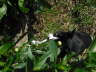 Carlos im Garten 09