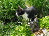Carlos im Garten 10