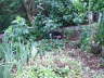 Carlos im Garten 11