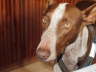 Feli Portrait