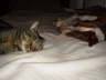Feli + Candy 03