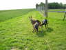 Feli mit Paul + Kira 02