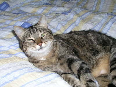 Gipsy Bett 08 2005 01