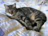 Gipsy Bett 08 2005 02