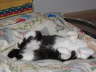 Nemo 06-2006 01