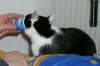 Nemo Yogurt 01